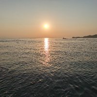 Kevin (@kevin51293903) 's Twitter Profile