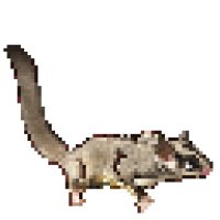ゲレとフクロモモンガの日々 (@gelehrte_sugar) 's Twitter Profile
