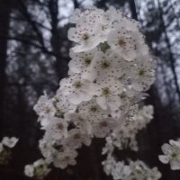 Selfless (@_just_here____) 's Twitter Profile