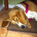 Ramsey Moore - @sleepingbasset - Twitter