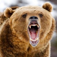 🌷AT🇪🇬NG🌹 (@ksmtoutr) Twitter profile photo