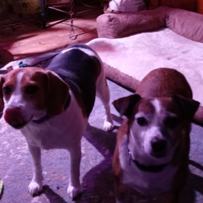 CindyMi59709513's profile picture. mom+grandma. no dms like the amazing colors of flowers or birds we humans are also amazing at having beautiful colors.