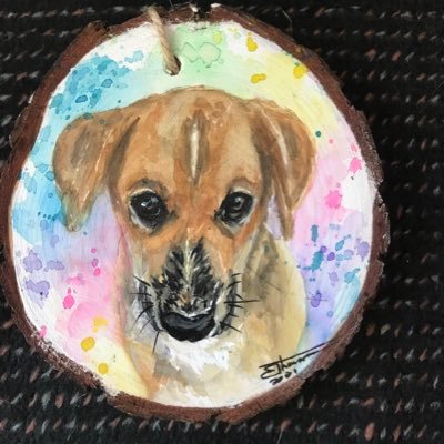 —- Kona Dawg  2005-2019. Best. Dog. Ever. —- Barley Puppy  2020– Working on it… —- —- —- Tweets by my human Lee.