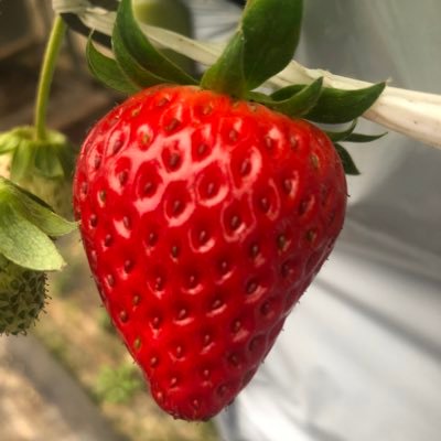 coffee_roll39's profile picture. 光くんから過去作品見まくりインスカでズブズブになってしまった千葉雄大さんFC会員。子持ちのワーママ。W成人。志尊の自粛部屋住人。徳を積む人生を心がけるようになったのも千葉くんのおかげ 。千葉くんの周りのあたたかい輪に入りたいです。仲良くしてください。