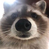 VLNDuddus (@vlnduddus) 's Twitter Profile Photo VLNDuddus (@vlnduddus) 's Twitter Profile Photo