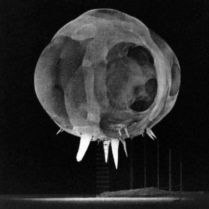 legrandduk's profile picture. 