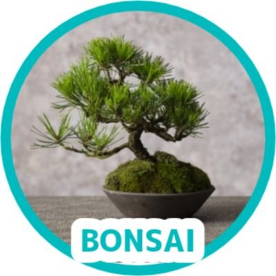 hey2_bonbon's profile picture. 成人済社会人 | 🗿&匿📻 | ド新規