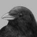 BobsicleG (@bobsicleg) Twitter profile photo BobsicleG (@bobsicleg) Twitter profile photo