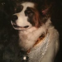 Zoraida Rivera (@alizrwzireviz) 's Twitter Profile