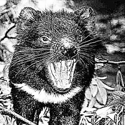 JohnTaylor1001's profile picture. 