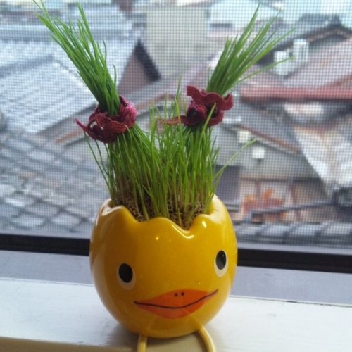 tsuyoco_chan's profile picture. 