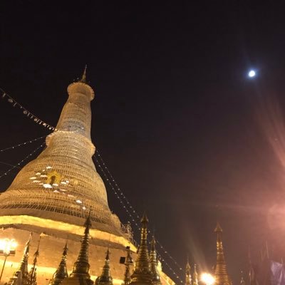 devlarge16's profile picture. ミャンマー🇲🇲移住計画中