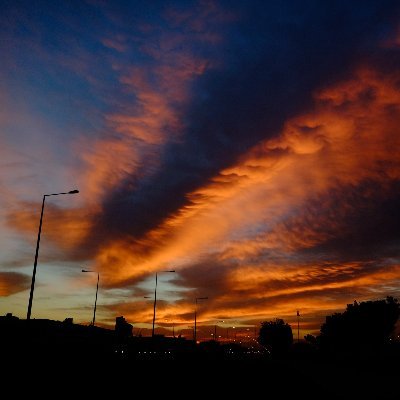 TKCtan's profile picture. 