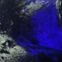 blue (@head7zone) 's Twitter Profile