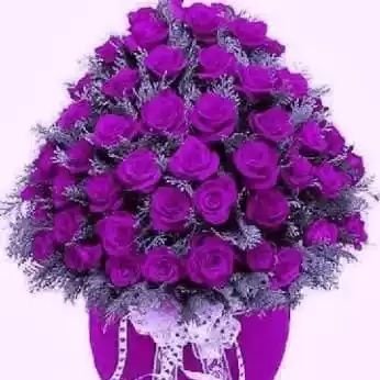 Harun85211771's profile picture. I'm  male I love football I like to eat spicy food