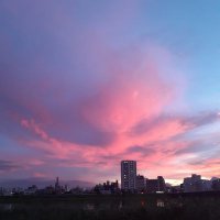 あすか (@asuka__0517) 's Twitter Profile