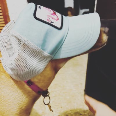 Poxy_ninja's profile picture. Adicto a la comida chatarra, Nerd de tiempo completo, amante de los animales, Malísimo para los Battle Royale.