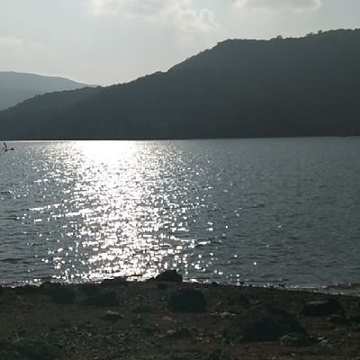 Rajenda59633859's profile picture. Indian