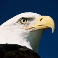 JOHN 8:32 (π,π§‘) (@luziferllv2) 's Twitter Profile