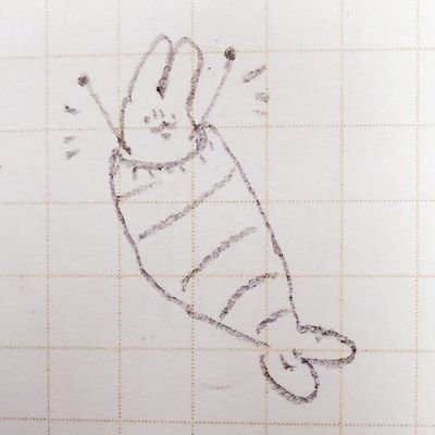 zichiさんのプロフィール画像
