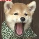 小倉の性欲半端ない - @kari_pero - Twitter