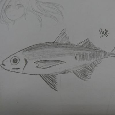 katyusha_spla's profile picture. 気づいたら6浪 医学科受けるよ