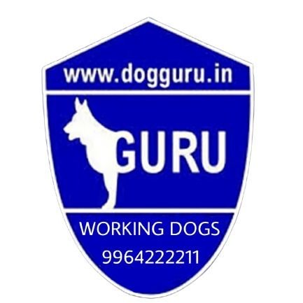 Amrut_DogGuru Profile Picture