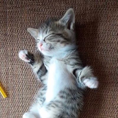 りゃんさんのプロフィール画像