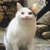 andy (@yaa3388) Twitter profile photo andy (@yaa3388) Twitter profile photo