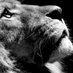 أحمد أبو آية (@ahmdabwayt1) Twitter profile photo أحمد أبو آية (@ahmdabwayt1) Twitter profile photo