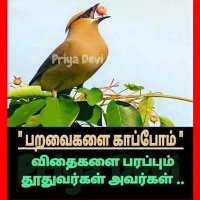MC Vinoth..... (@cvino1609) 's Twitter Profile