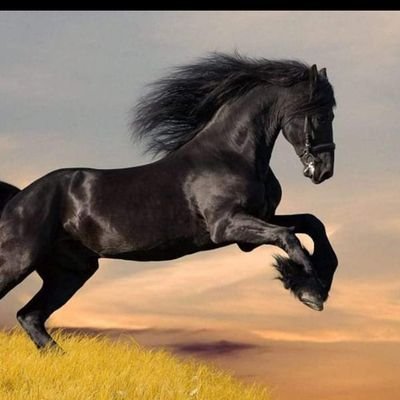 OI2ZjmpkKt9Bvl5's profile picture. كفاكم صراع مع عقولكم