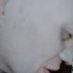 Rudolf Lorscheider (@rudolflorschei6) Twitter profile photo Rudolf Lorscheider (@rudolflorschei6) Twitter profile photo