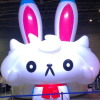 アルル₍₍⁽⁽🎤₎₎⁾⁾Cananちゃんガチ恋❤️ (@shake_a_mike13) 's Twitter Profile