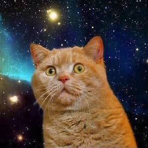 tt0KgZlhswdAhUJ's profile picture. 20 成人済み　雑食 閲覧&いいね用のアカです