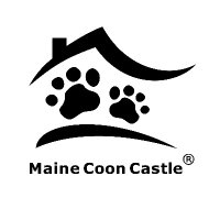 Maine Coon Castle(@MaineCastle) 's Twitter Profile Photo