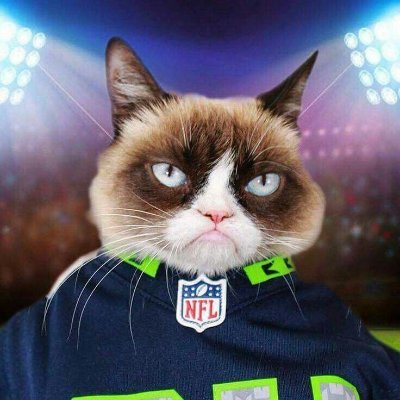 stesan2015's profile picture. Seattle sports
#Resist!