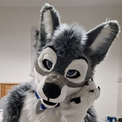 Friendly Grey Wolf 🐺 | 🇬🇧 | 35 | Male | Gay | @BlueFoxFursuits Fursuiter | Web dev | ❤️ 🐾| Single | 🔞 only