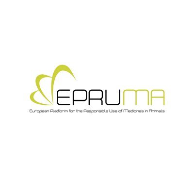 epruma1 Profile Picture