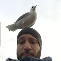 Federico Cappa (@federico_cappa) 's Twitter Profile