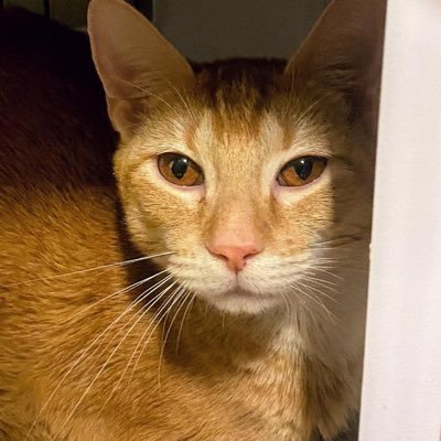 Sukhnee96872422's profile picture. Dream it. Wish it. Do it.