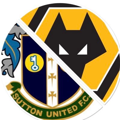 Wolves fan for 60 years. Original London glory hunter! Proud Sutton United STH and supporter of the mighty Quins #Dolfan