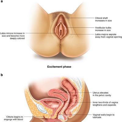 adu_prophet's profile picture. News