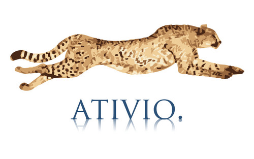 Ativio was established with a vision to provide comprehensive IT and BPO solutions; solutions that transform your business.