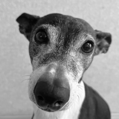 TJ_POPO's profile picture. TJです。