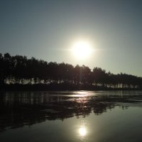Guna (@tweetybird2819) 's Twitter Profile