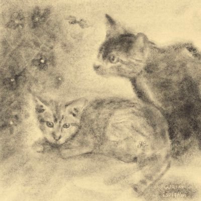 าษริวさんのプロフィール画像