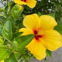 たま (@yutoseiyamemasu) Twitter profile photo