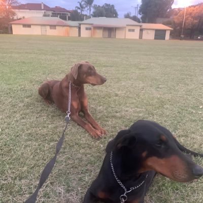 trav_d83's profile picture. Love Sport and Music (not what most people would love!)