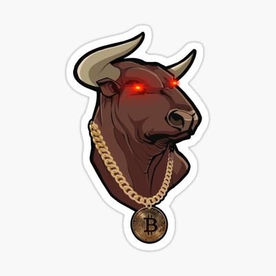 TheBullof15thSt Profile Picture